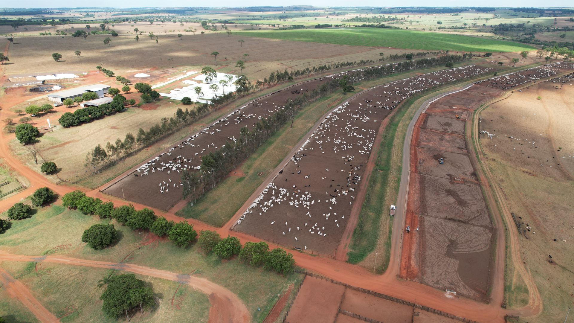 Vista aérea do confinamento BOITEL JHS em Santa Izabel do Marinheiro, Pedranópolis · SP