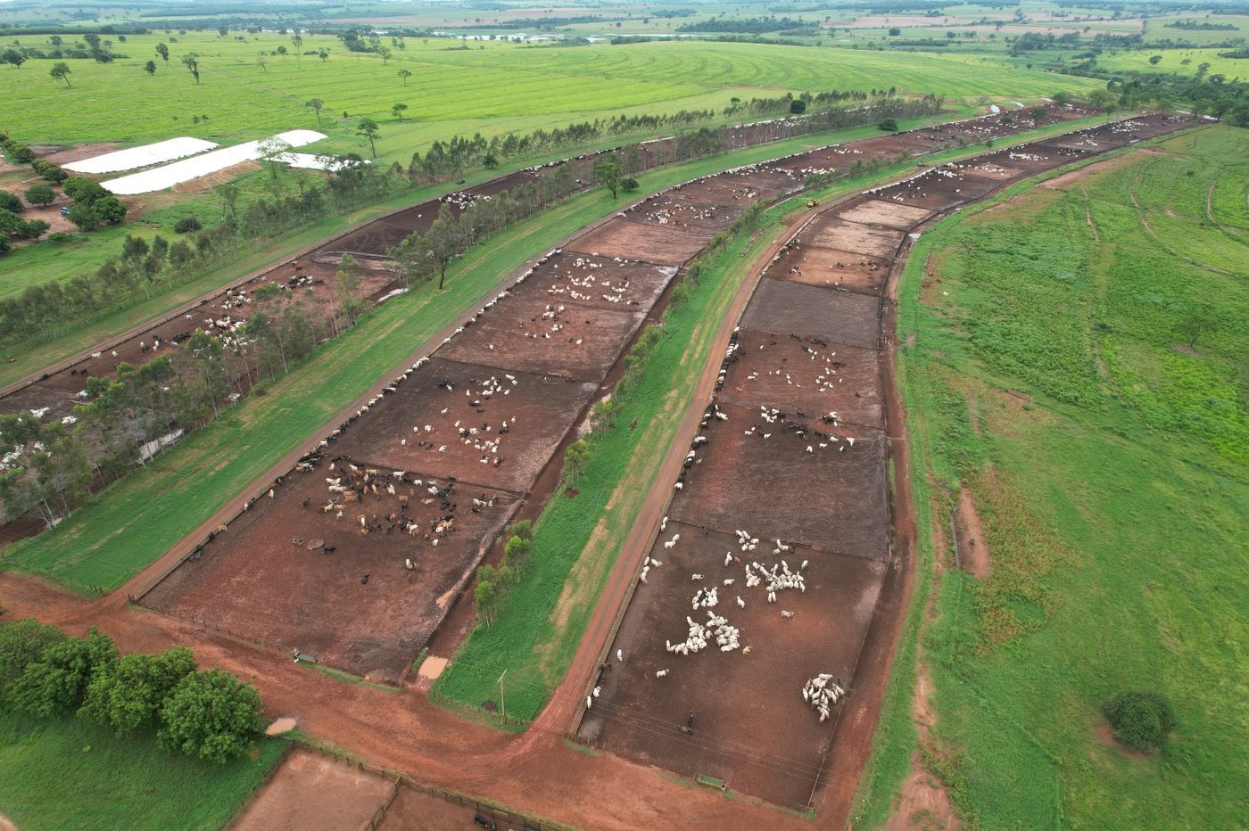Visão aérea dos currais e da estrutura de confinamento BOITEL JHS